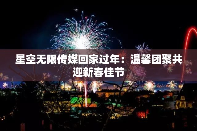 星空无限传媒回家过年：温馨团聚共迎新春佳节