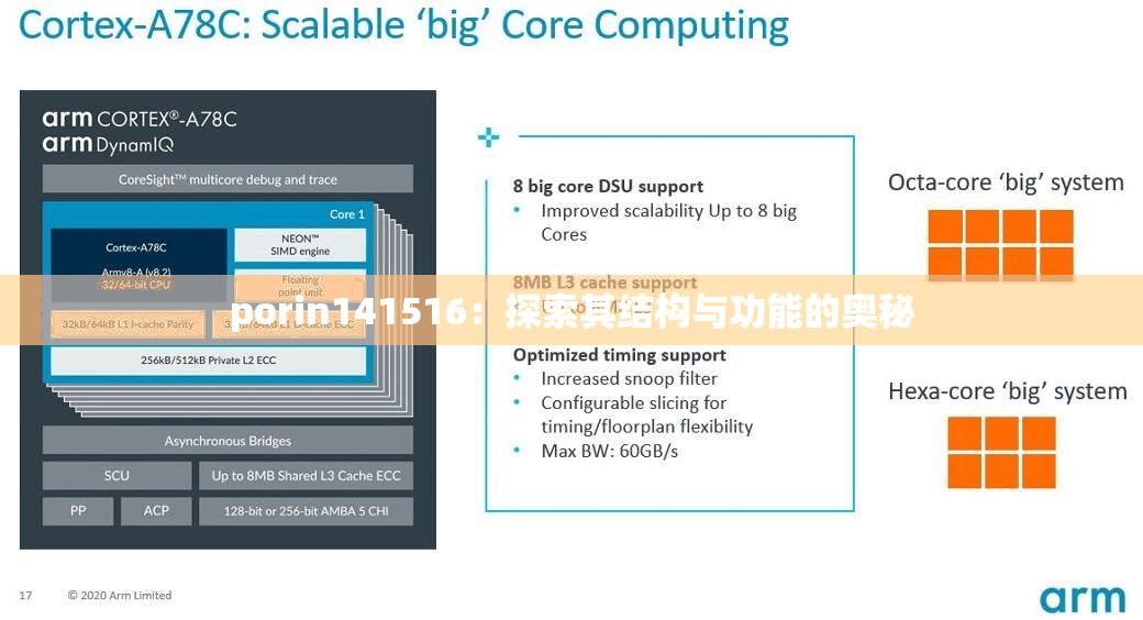 porin141516：探索其结构与功能的奥秘