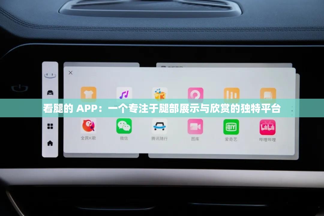 看腿的 APP：一个专注于腿部展示与欣赏的独特平台