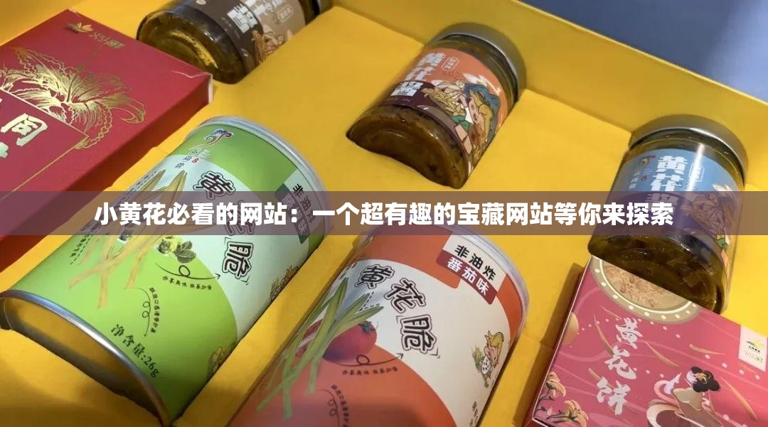 小黄花必看的网站：一个超有趣的宝藏网站等你来探索