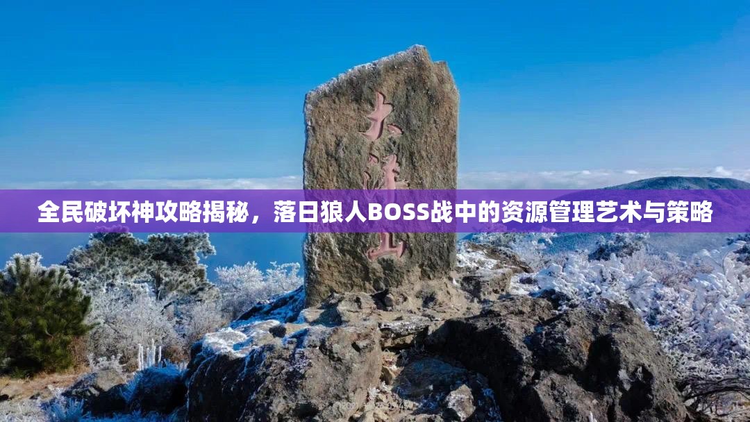 全民破坏神攻略揭秘，落日狼人BOSS战中的资源管理艺术与策略