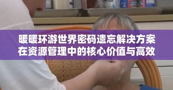 暖暖环游世界密码遗忘解决方案在资源管理中的核心价值与高效实施策略
