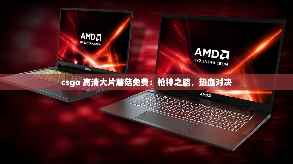 csgo 高清大片蘑菇免费：枪神之路，热血对决