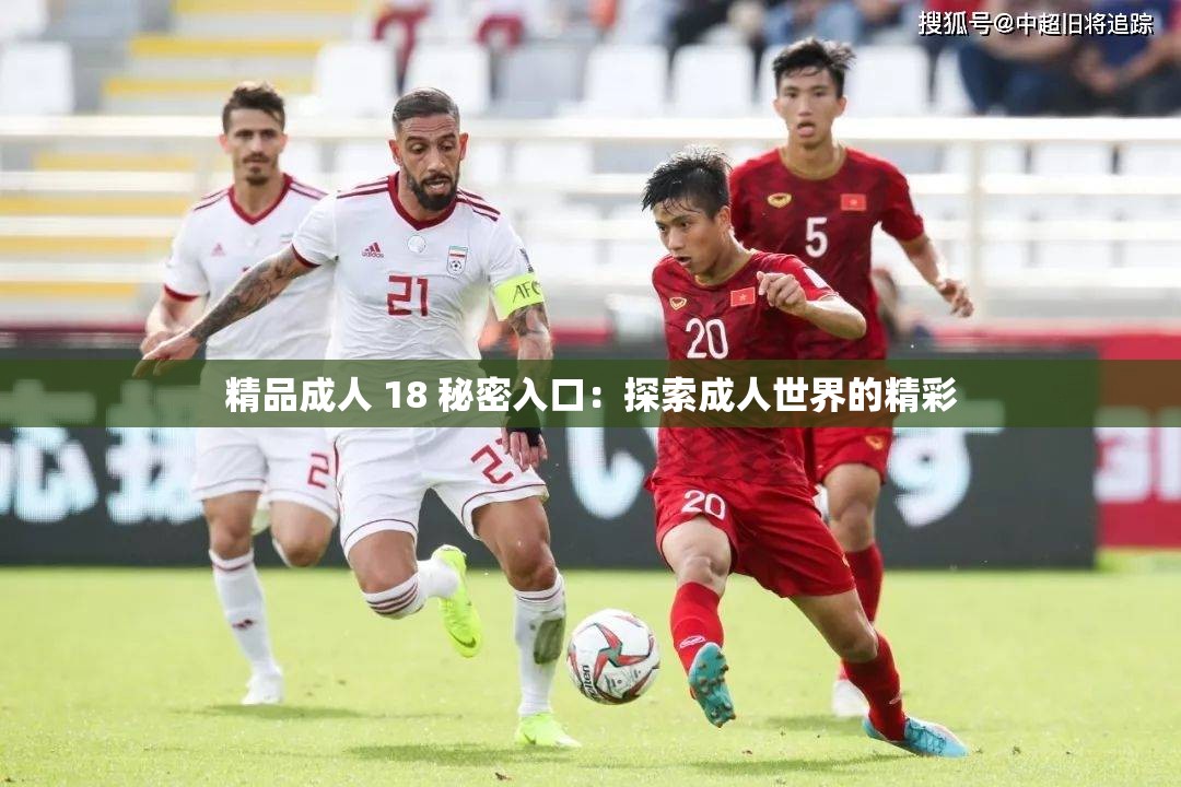 精品成人 18 秘密入口：探索成人世界的精彩