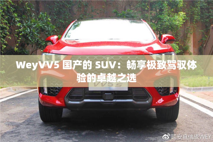 WeyVV5 国产的 SUV：畅享极致驾驭体验的卓越之选