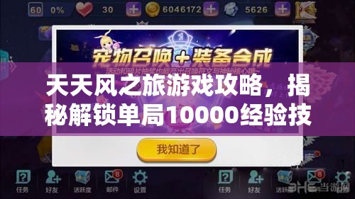 天天风之旅游戏攻略，揭秘解锁单局10000经验技巧，助你冒险之旅快速升级秘籍！