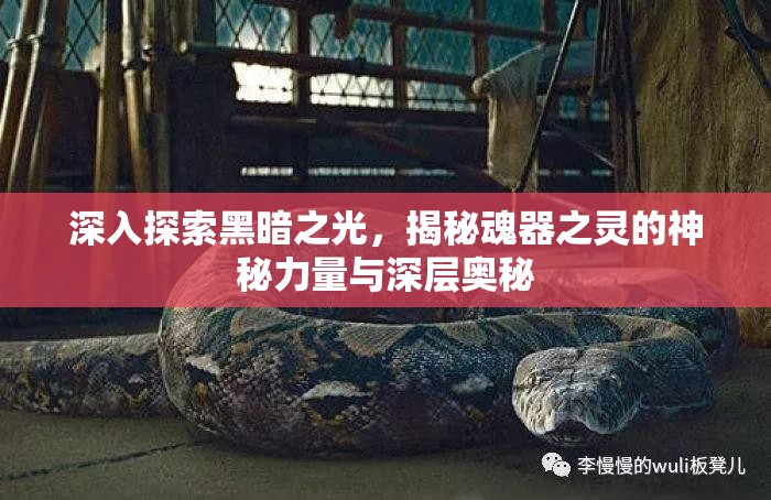 深入探索黑暗之光，揭秘魂器之灵的神秘力量与深层奥秘