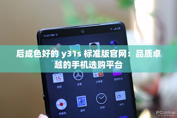 后成色好的 y31s 标准版官网：品质卓越的手机选购平台