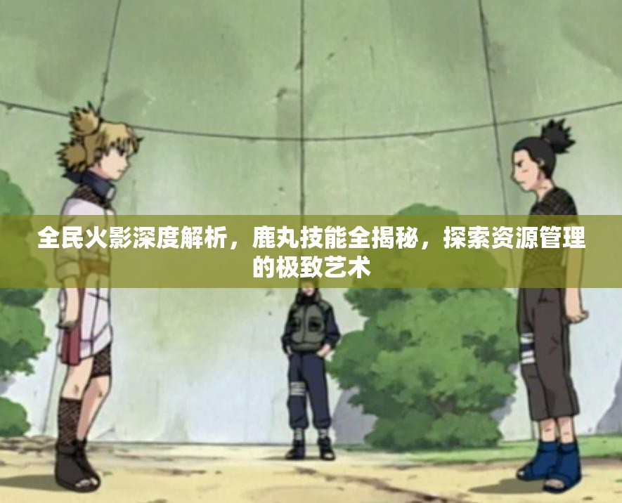 全民火影深度解析，鹿丸技能全揭秘，探索资源管理的极致艺术