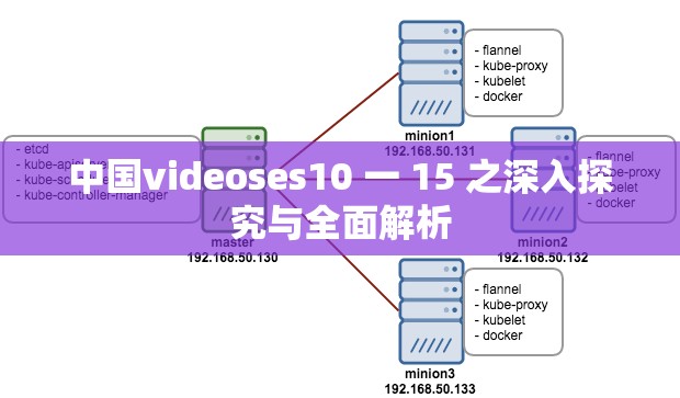 中国videoses10 一 15 之深入探究与全面解析