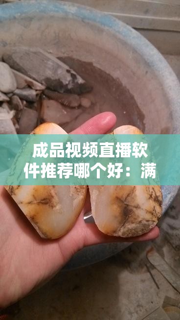 成品视频直播软件推荐哪个好：满足你的直播需求