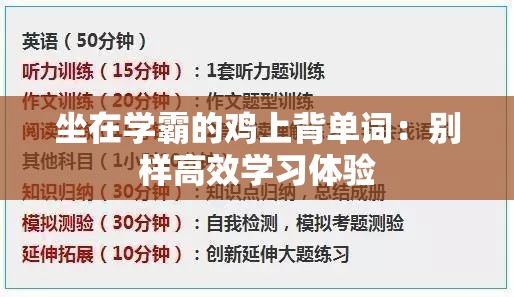 坐在学霸的鸡上背单词：别样高效学习体验