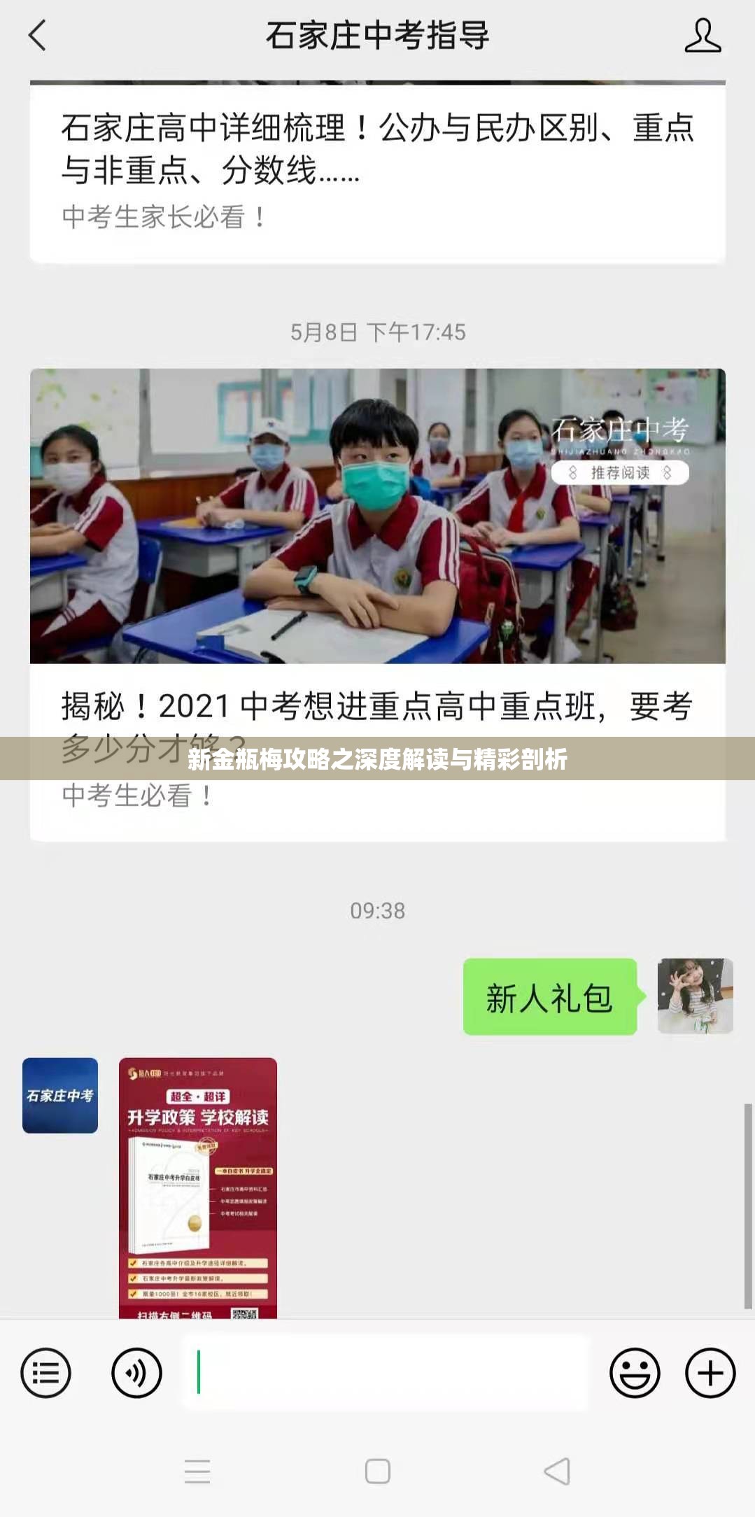 新金瓶梅攻略之深度解读与精彩剖析