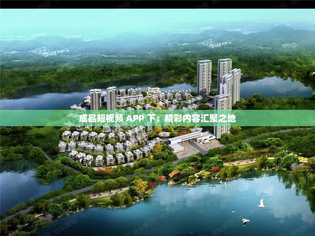 成品短视频 APP 下：精彩内容汇聚之地