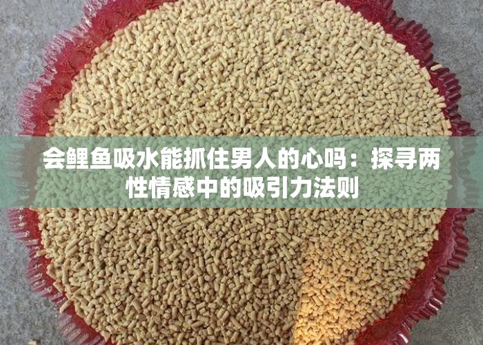 会鲤鱼吸水能抓住男人的心吗：探寻两性情感中的吸引力法则