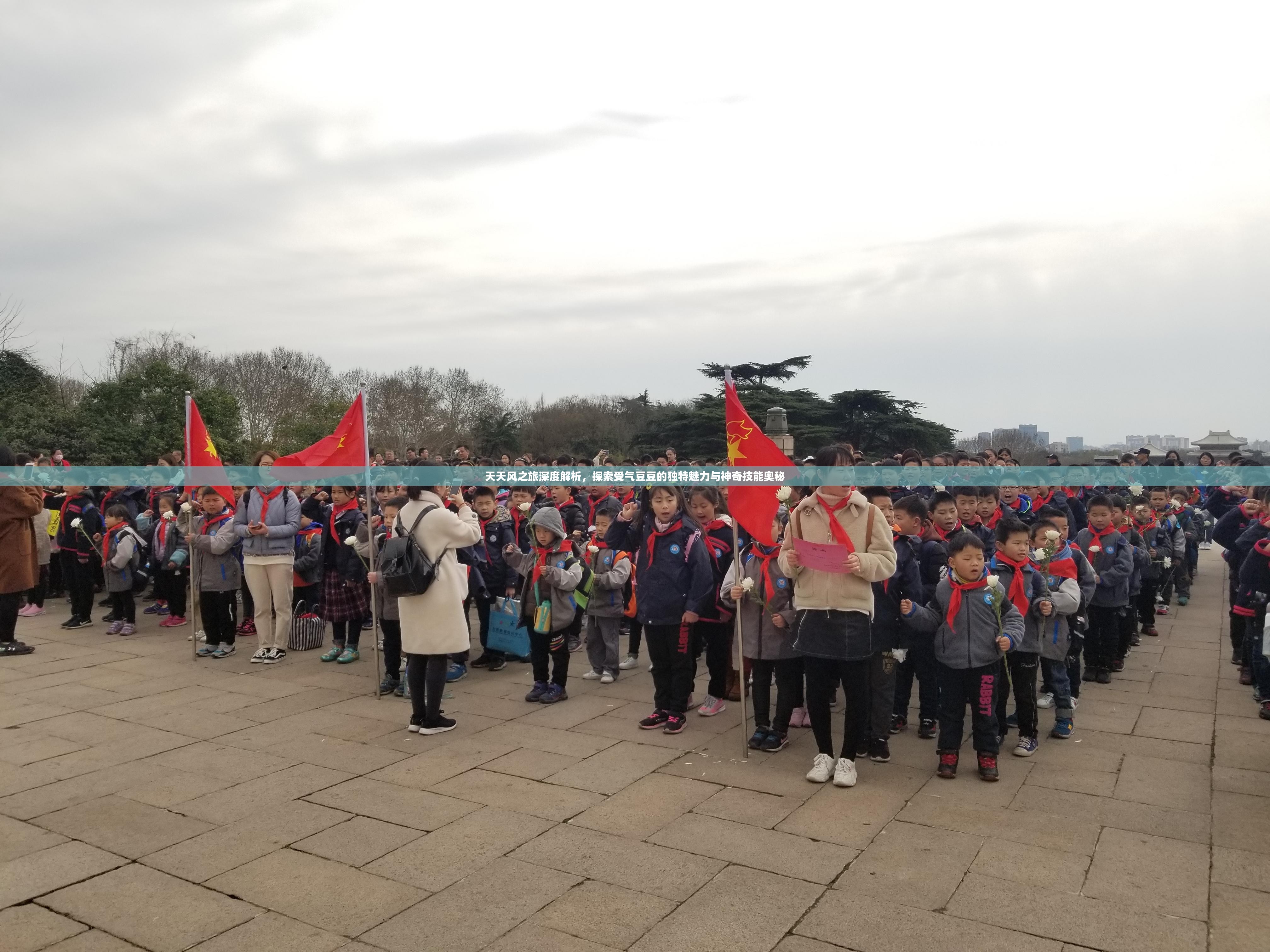 天天风之旅深度解析，探索受气豆豆的独特魅力与神奇技能奥秘