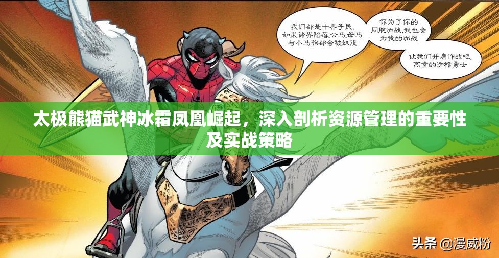 太极熊猫武神冰霜凤凰崛起，深入剖析资源管理的重要性及实战策略