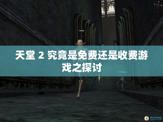天堂 2 究竟是免费还是收费游戏之探讨