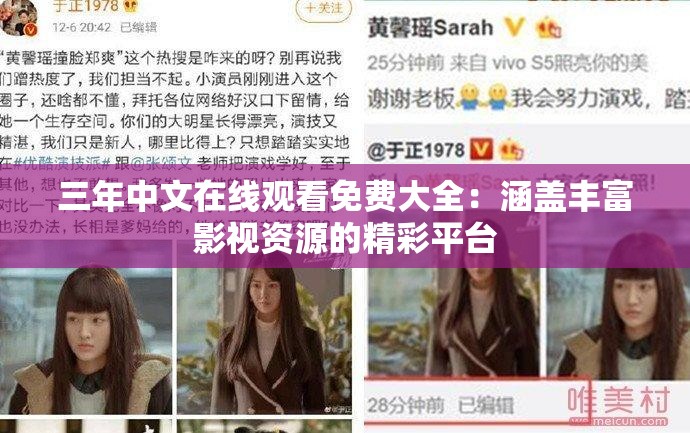 三年中文在线观看免费大全：涵盖丰富影视资源的精彩平台
