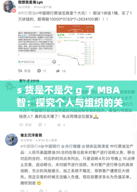 s 货是不是欠 g 了 MBA 智：探究个人与组织的关系