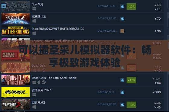 可以插圣采儿模拟器软件：畅享极致游戏体验