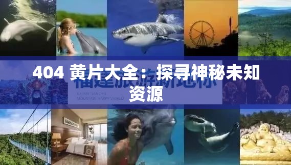 404 黄片大全：探寻神秘未知资源