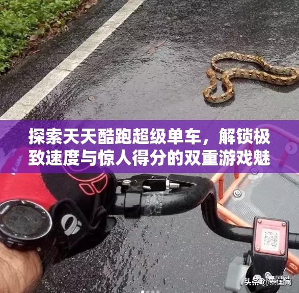 探索天天酷跑超级单车，解锁极致速度与惊人得分的双重游戏魅力