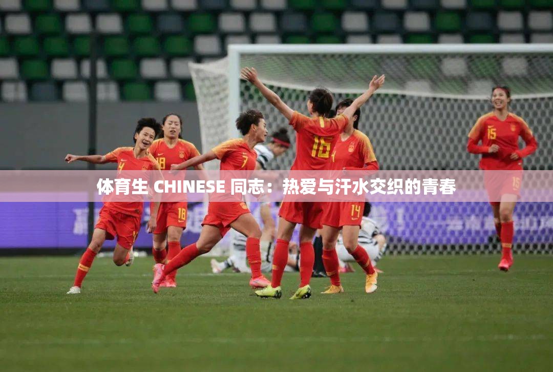 体育生 CHINESE 同志：热爱与汗水交织的青春