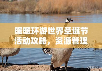 暖暖环游世界圣诞节活动攻略，资源管理技巧、高效利用策略及避免浪费指南