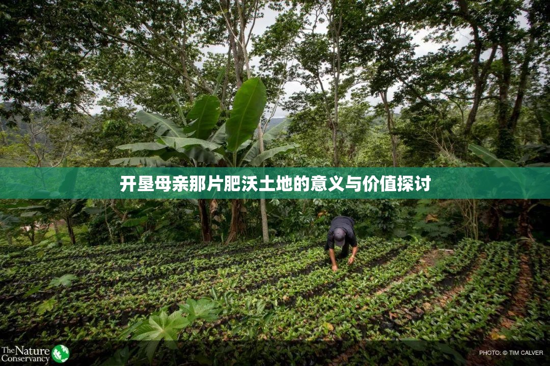开垦母亲那片肥沃土地的意义与价值探讨