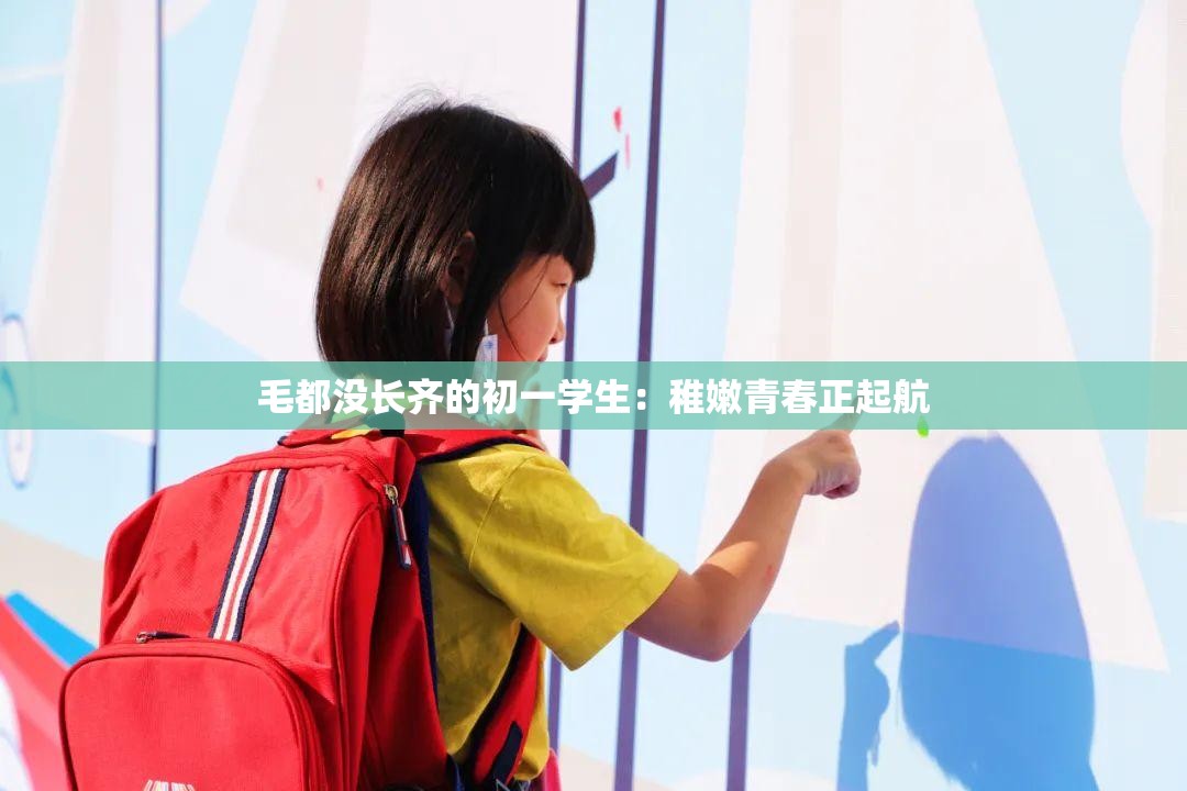 毛都没长齐的初一学生：稚嫩青春正起航