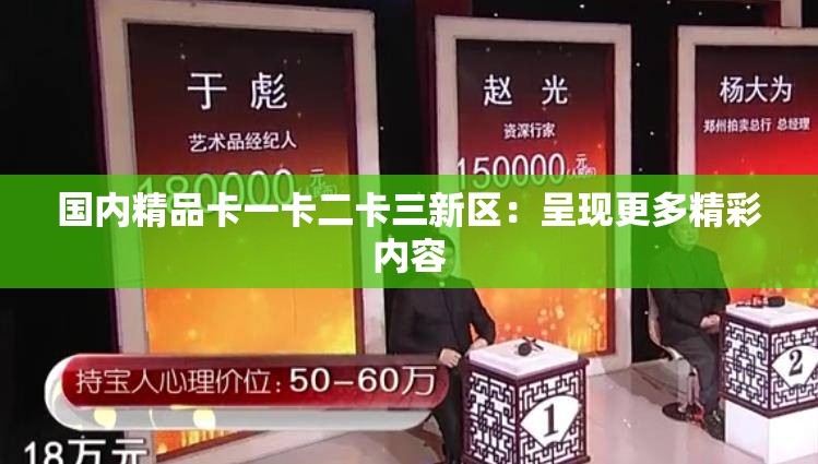 国内精品卡一卡二卡三新区：呈现更多精彩内容