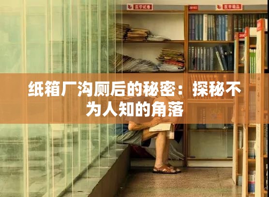 纸箱厂沟厕后的秘密：探秘不为人知的角落