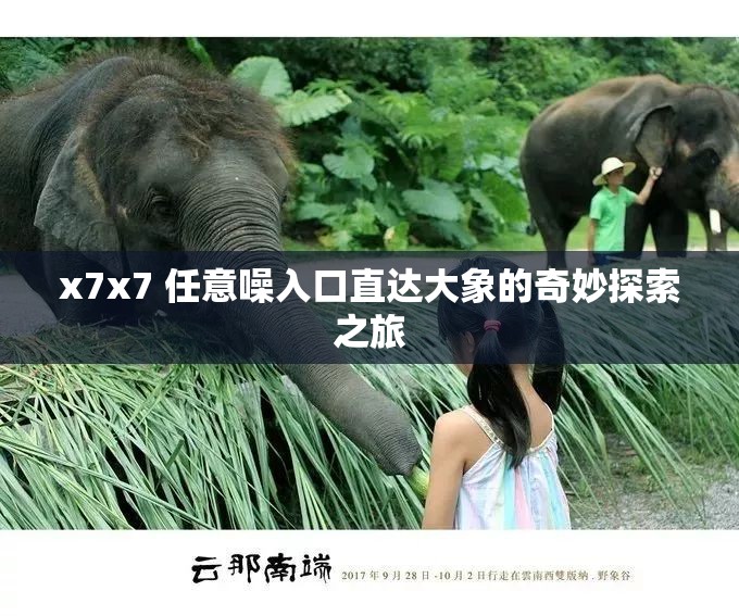 x7x7 任意噪入口直达大象的奇妙探索之旅