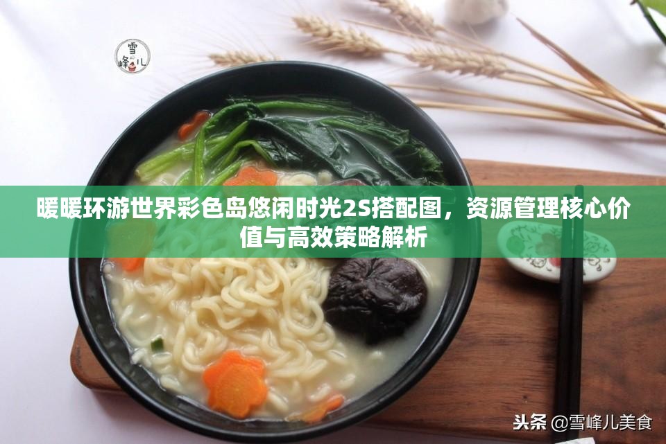 暖暖环游世界彩色岛悠闲时光2S搭配图，资源管理核心价值与高效策略解析