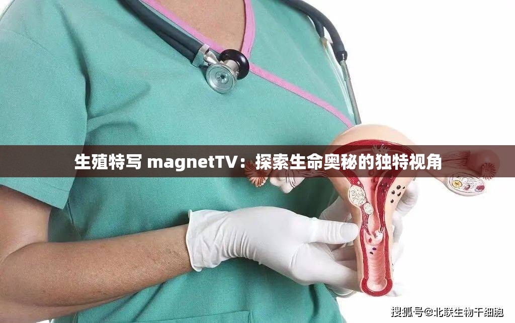 生殖特写 magnetTV：探索生命奥秘的独特视角