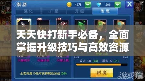 天天快打新手必备，全面掌握升级技巧与高效资源管理艺术