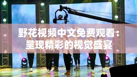 野花视频中文免费观看：呈现精彩的视觉盛宴