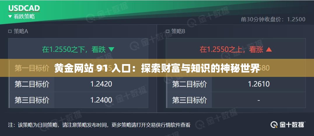 黄金网站 91 入口：探索财富与知识的神秘世界
