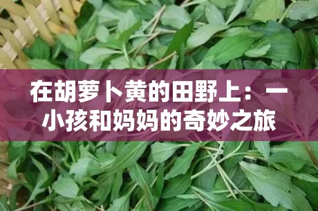 在胡萝卜黄的田野上：一小孩和妈妈的奇妙之旅