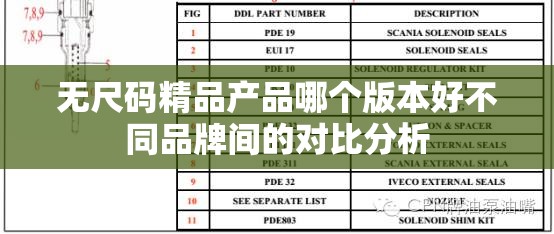 无尺码精品产品哪个版本好不同品牌间的对比分析