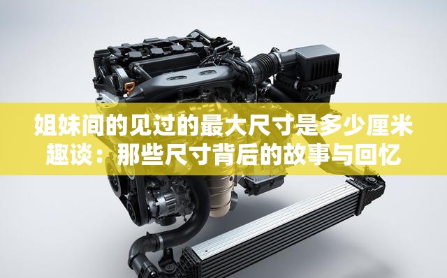 姐妹间的见过的最大尺寸是多少厘米趣谈：那些尺寸背后的故事与回忆