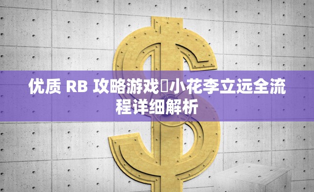 优质 RB 攻略游戏寀小花李立远全流程详细解析