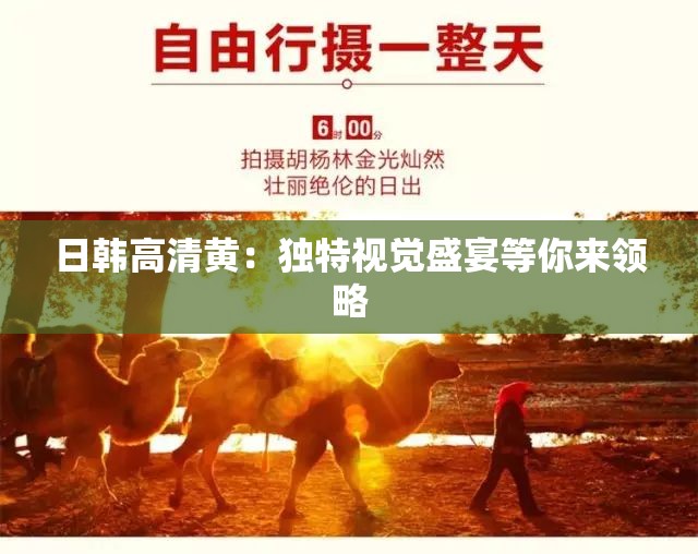 日韩高清黄：独特视觉盛宴等你来领略