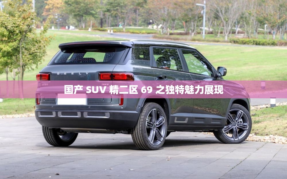 国产 SUV 精二区 69 之独特魅力展现