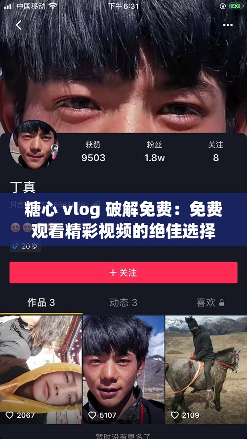 糖心 vlog 破解免费：免费观看精彩视频的绝佳选择