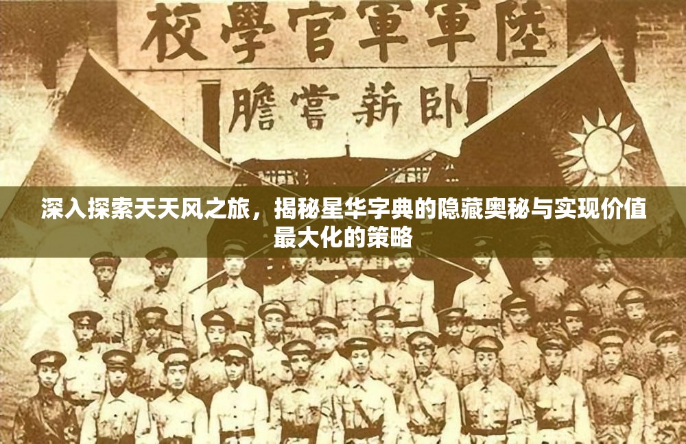 深入探索天天风之旅，揭秘星华字典的隐藏奥秘与实现价值最大化的策略