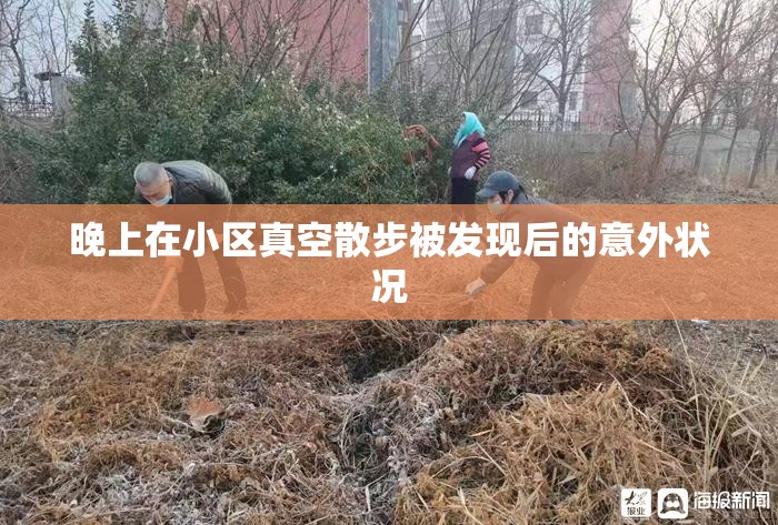 晚上在小区真空散步被发现后的意外状况