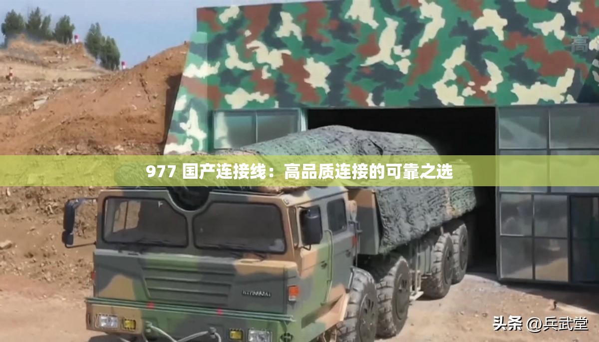 977 国产连接线：高品质连接的可靠之选