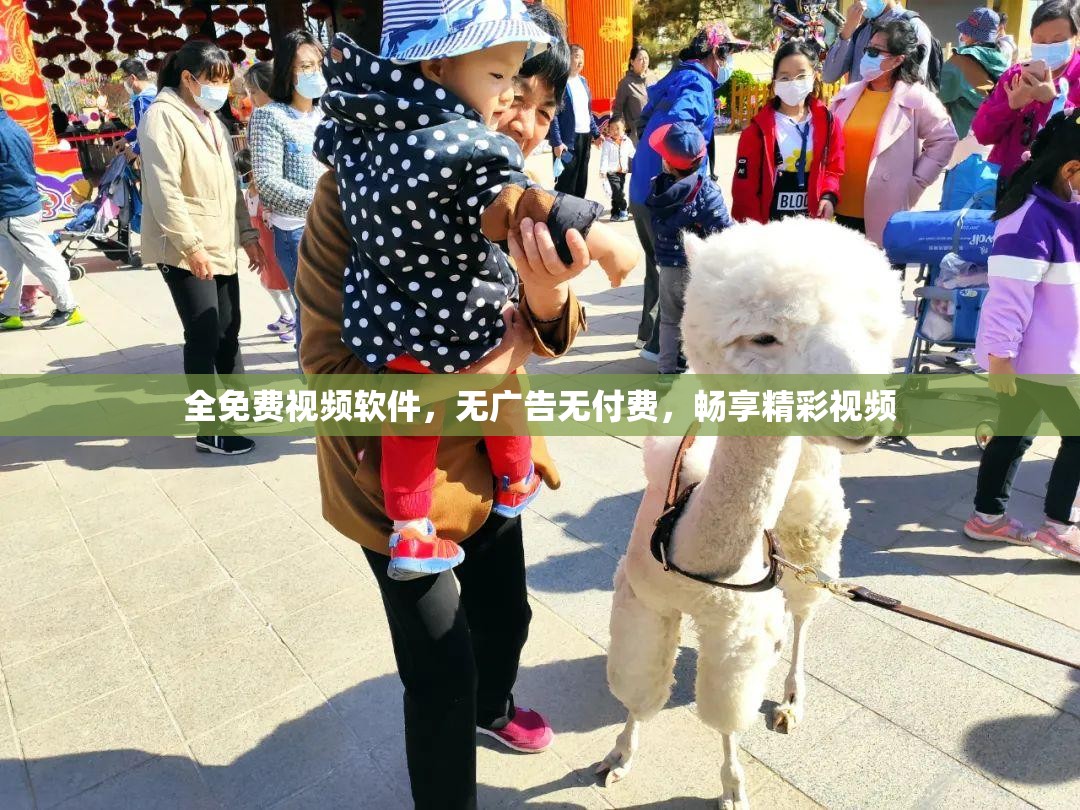 全免费视频软件，无广告无付费，畅享精彩视频